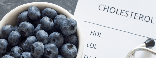 Cholesterol