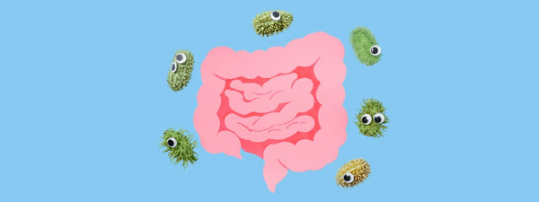 Darmflora herstellen