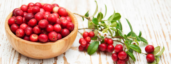 De rol van cranberry supplementen voor je gezondheid