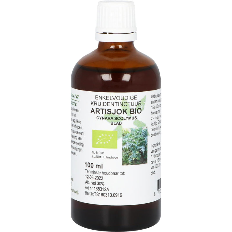 Natura Sanat Artisjok Bio - 100 Milliliter