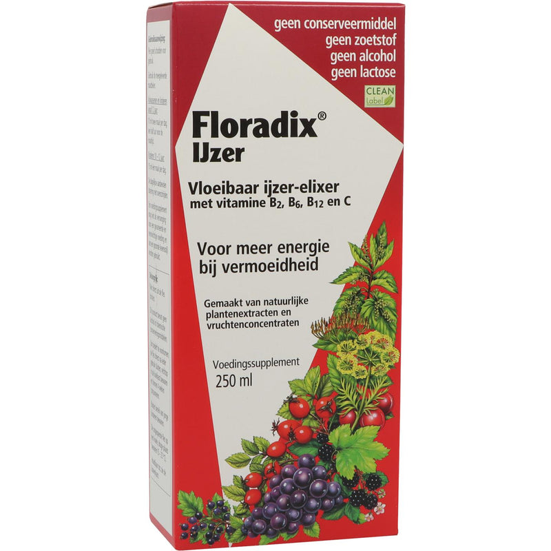 Salus Floradix IJzer - 250 ml