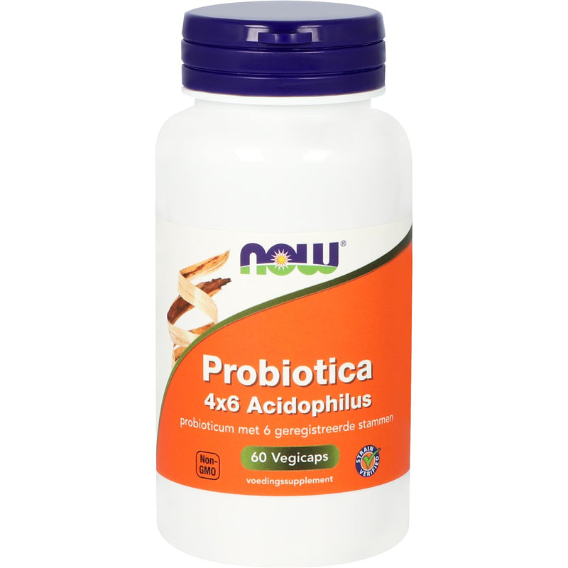 NOW Biotica 4x6 Acidophilus - 60 vcaps