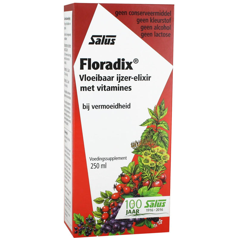 Salus Floradix IJzer - 250 ml